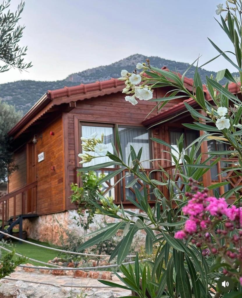 Doganin Ruhu Hotel & Bungalow Kas Exterior photo